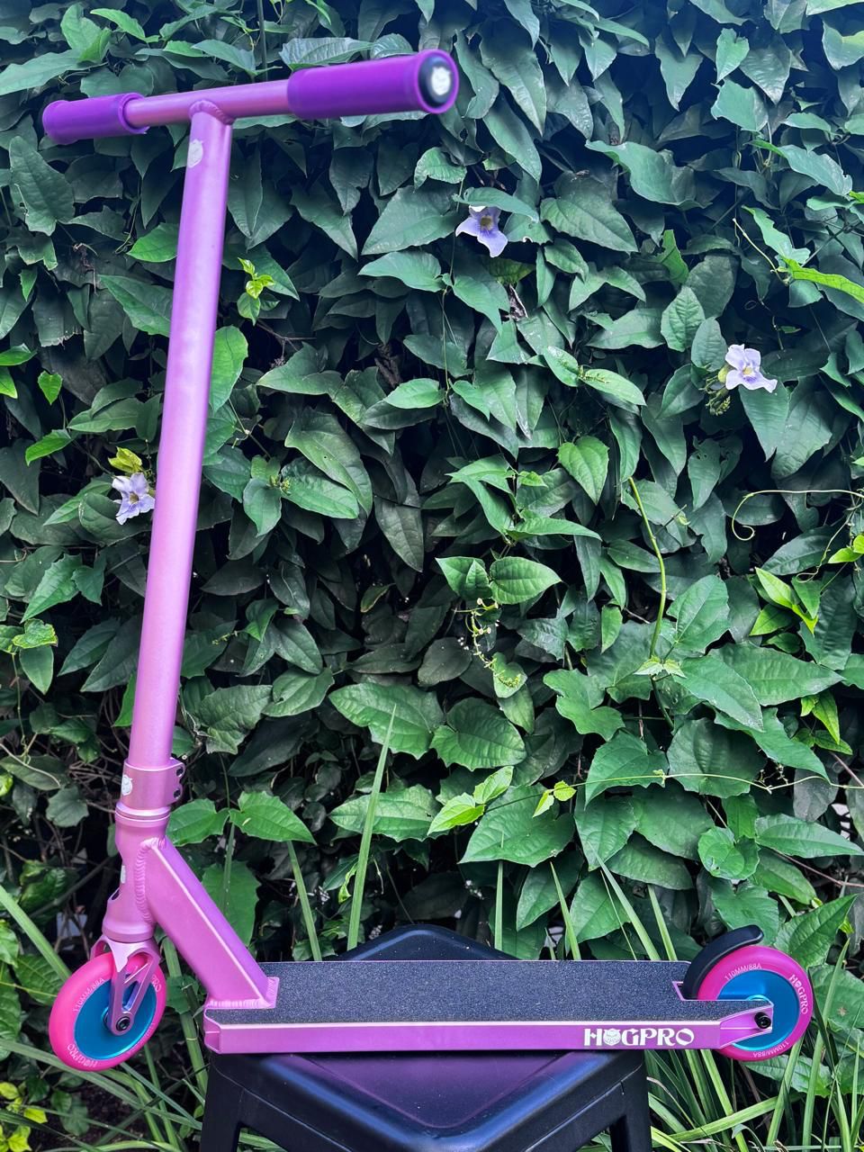 Pink Riot